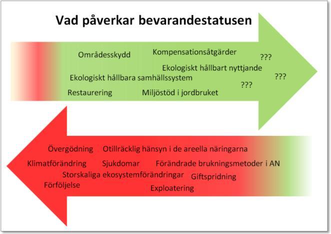 En arts bevarandestatus anses gynnsam när populationsutvecklingen långsiktigt stabil eller ökande arten på lång sikt kommer att förbli en livskraftig del av sin livsmiljö,