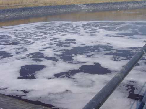 Bild 3. Luftade zonen i dammen. Full damm motsvarar ca 6 844 m 2 vätskeyta. En kompressor och 200 st membranluftare förser vattnet med luft och 3 st propelleromrörare sköter omrörningen.