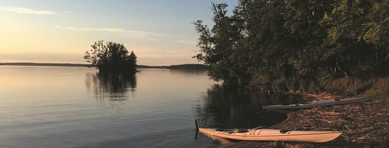 Vi samlades vid mötesplatsen på Smidö kl 18 den 15 juni, packade alla parningskassetter och de två drönar-avläggare i båten och åkte till Västra Högholmen.