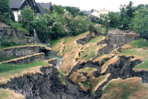 begynnande skred: plötsliga sprickor och sättningar i marken träd och stolpar som