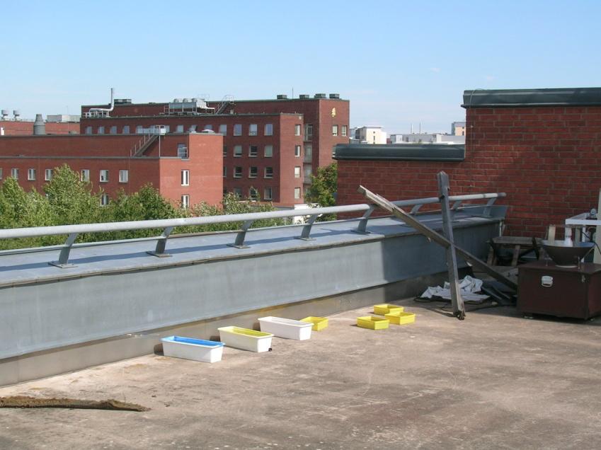 FaZett 2009 23 Fig. 2. Fälluppsättningen. En ljusfälla, en gulskål, en blåskål, en vitskål och fyra extra gula skålar. Foto. M. Molander.