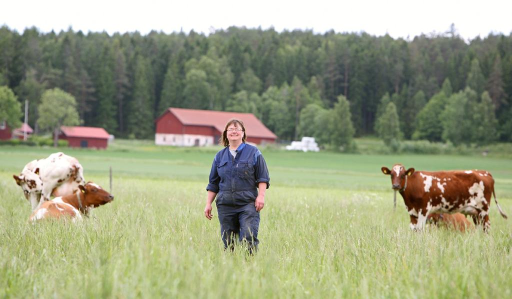 Konjunkturinstitutet bedömer att kronans växelkurs kommer att ligga kvar på denna nivå kommande månader för att sedan försvagas något under början av 2013.