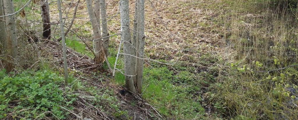 KOUN, Västra Götalands än