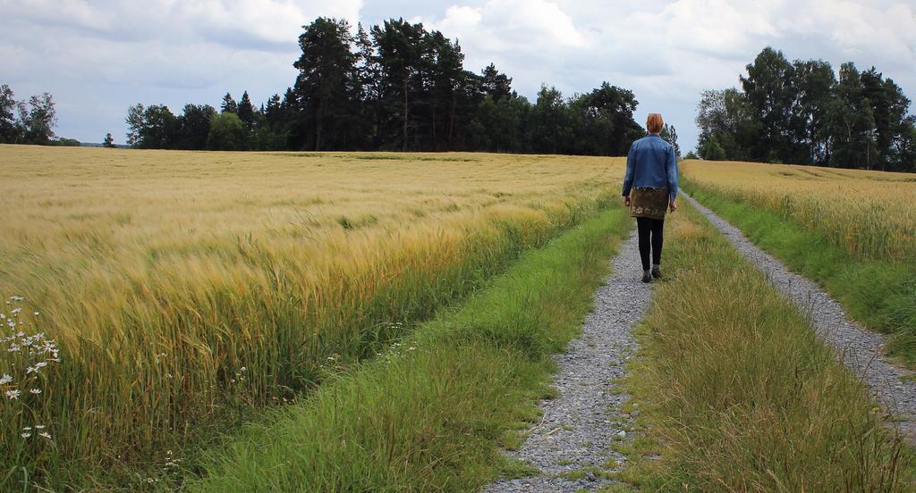 Utflyktsprogrammet vår & sommar 2017 Hitta ut på egen hand!