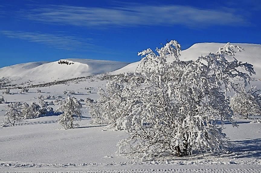 Ordförande har ordet Ännu ett verksamhetsår har, i och med årsmötet den 20 februari, avslutats och jag vill tacka för förtroendet att leda föreningen ytterligare ett år framåt.