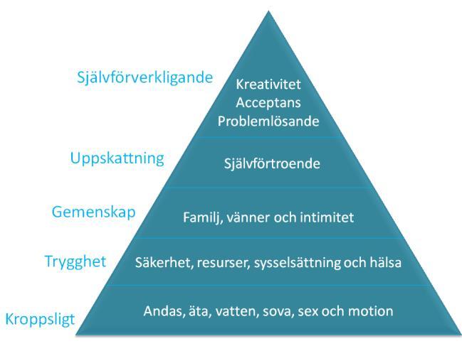 Figur 1 (Öhman, 2010). Dock har denna metod har blivit kritiserad på psykologiska, metodologiska samt hierarkiska grunder.