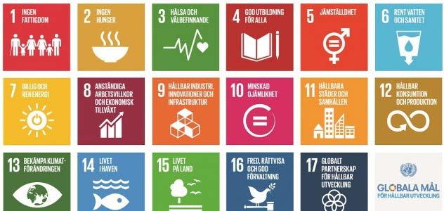 2015 FN:s globala mål för hållbar utveckling Målen har