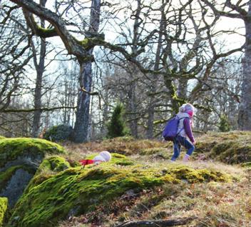 Kontakta turistinformationen Uppvidinge kommun Kyrkbacken/Box 59 364 21 Åseda 0474-470 38 receptionen@uppvidinge.