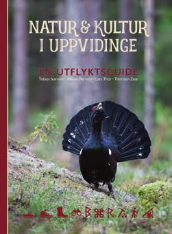 com/upplevuppvidinge. TÄVLA MED #upplevuppvidinge Vi vill gärna att du delar med dig av dina sommarupplevelser i Uppvidinge.