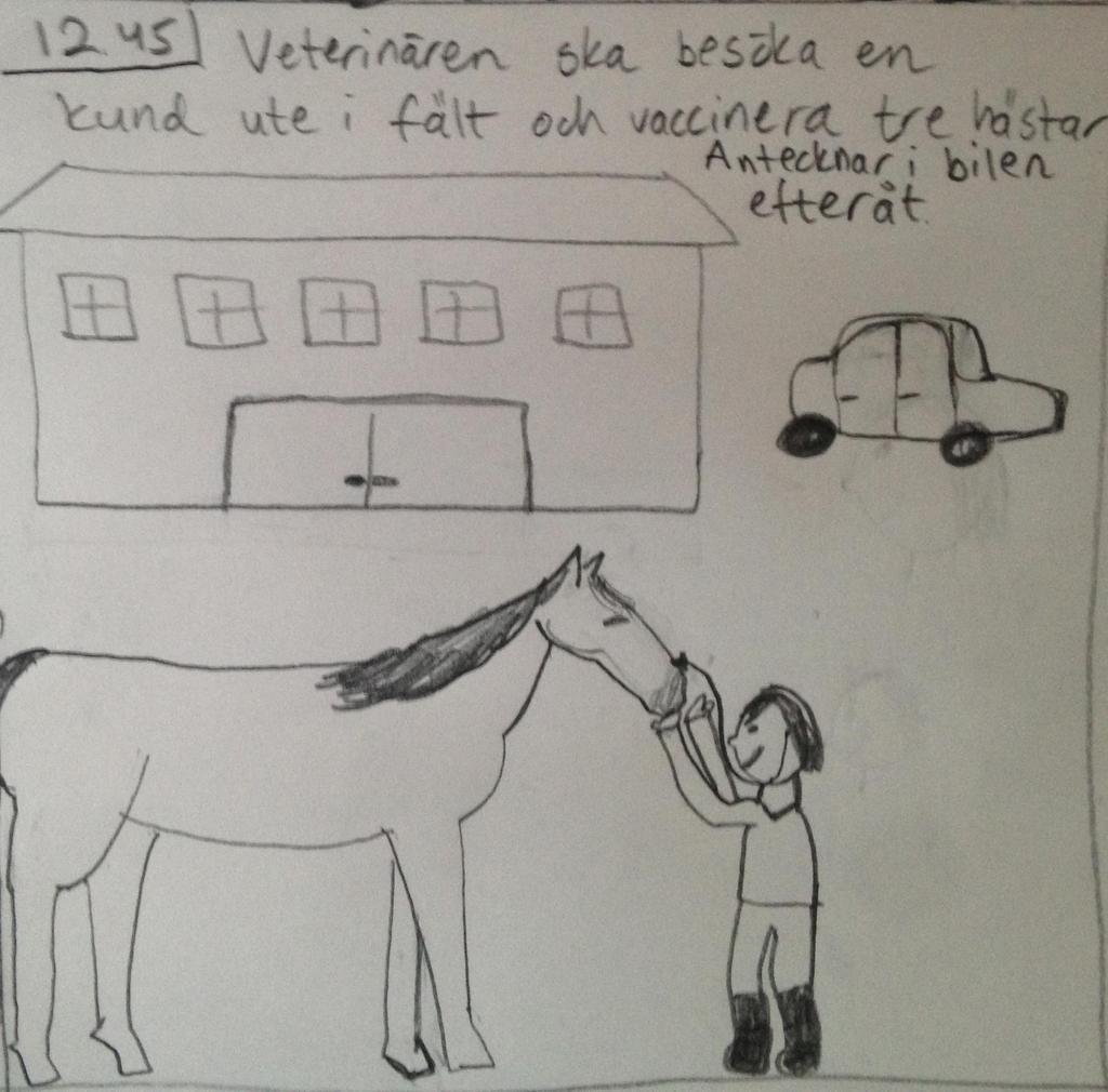 Bild 5: Efter lunch beger sig veterinären ut på fältbesök hos en hästgård för att utföra