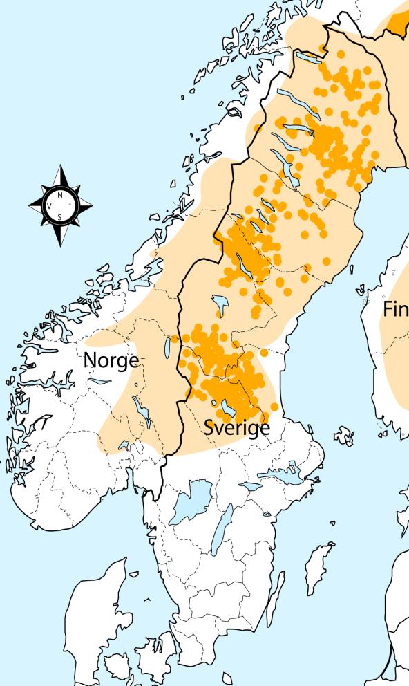 Figur 1. Brunbjörnens utbrednig i Sverige och Norge 213. Den ljusare färgen visar utbrededningsområdet och den mörkare färgen visar skjutna honor. Källa: Skandinaviska björnprojektet (213). Figure 1.