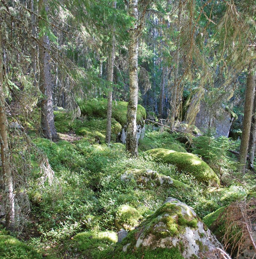 Hedesunda Valbo/Gävle