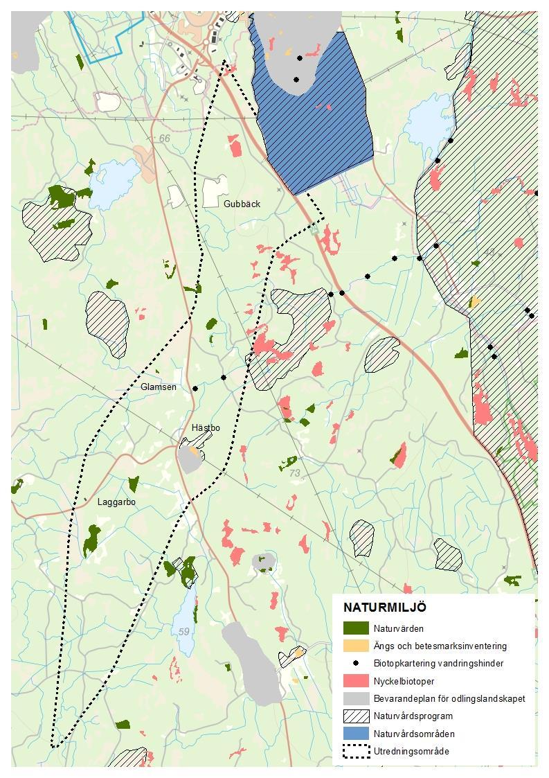 Figur 9 Naturvärden inom samt angränsande till utredningsområdet 5.8.1.