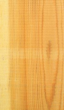 Struktur När man talar om träets utseende brukar man skilja mellan träytans struktur och textur. Träytans struktur är framförallt ett resultat av hur ytan har bearbetats.