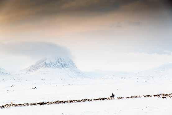 Foto: Carl-Johan Utsi.