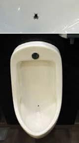 utanför urinoaren på en toalett i Amsterdam?