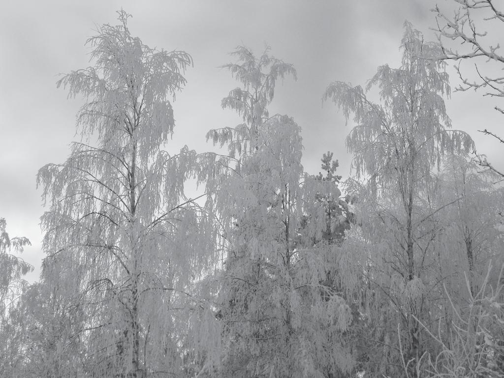 Tack för den här tiden Först av allt vill jag tacka er allesammans för den tid jag fått vara er kyrkoherde. Det har varit en fin och lärorik tid.
