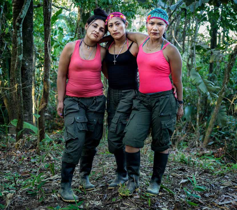 I det avlägsna FARC-lägret El Diamante förbereder medlemmarna sig på övergången till ett liv som