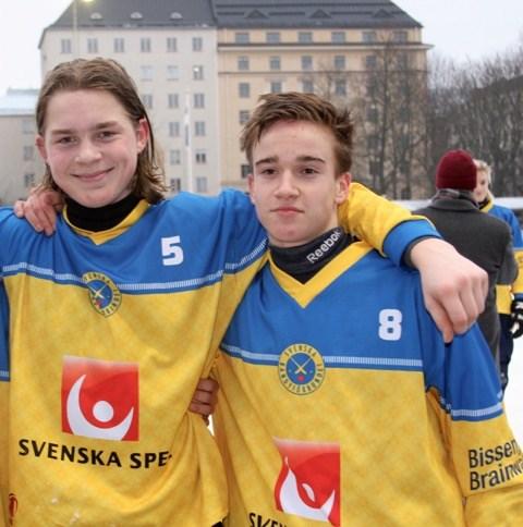 Vad betyder tränaren för laget, vad gör hen? Vilket ansvar har den enskilde spelaren?