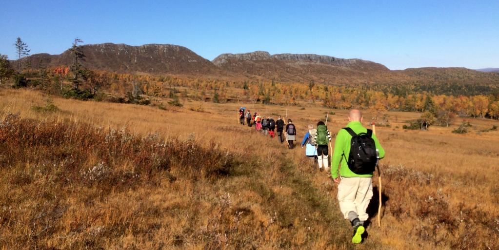 En vandringsretreat med Kajsa Ingemarsson 14 17 september 2017 När hösten i fjällen är som allra grannast beger vi oss till de jämtländska fjällen för att samla krafterna i en retreat.
