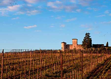 ITALIEN Vinmakaren Federico Cerelli tillsammans med viticulturisten Francesco Caselli.