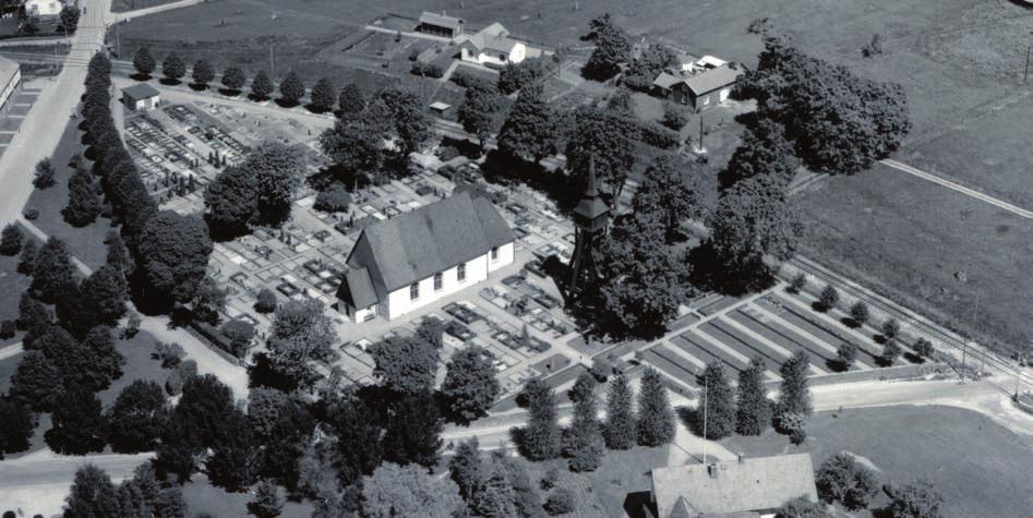 Trädkransen bestod av mycket små nyplanterade träd. Någon annan växtlighet fanns inte i kvarteret. En tydlig gräns syns mellan den äldre kyrkogårdsdelen och utvidgningen.