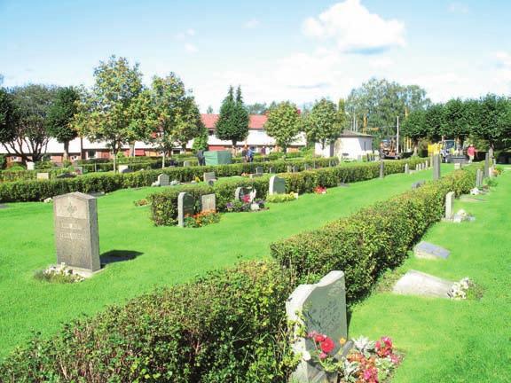 Kvarteret genomkorsas av fyra rygghäckar av måbär i nord sydlig riktning och en i öst västlig längst söderut. Längs grusgången mot kvarter 2 6 växer en allé med rönnar.