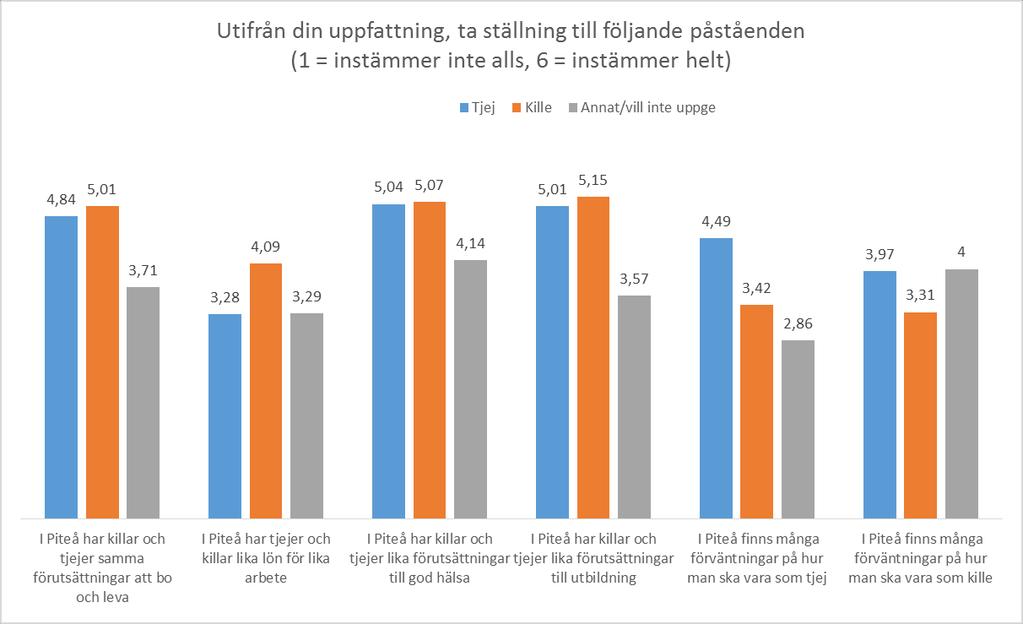 Lika villkor för killar och tjejer? Förväntningar på tjejer respektive killar? Förväntningar tjejer snygg, söt, snäll, smal, sminka sig, vara duktig och trevlig, inte för högljudd.