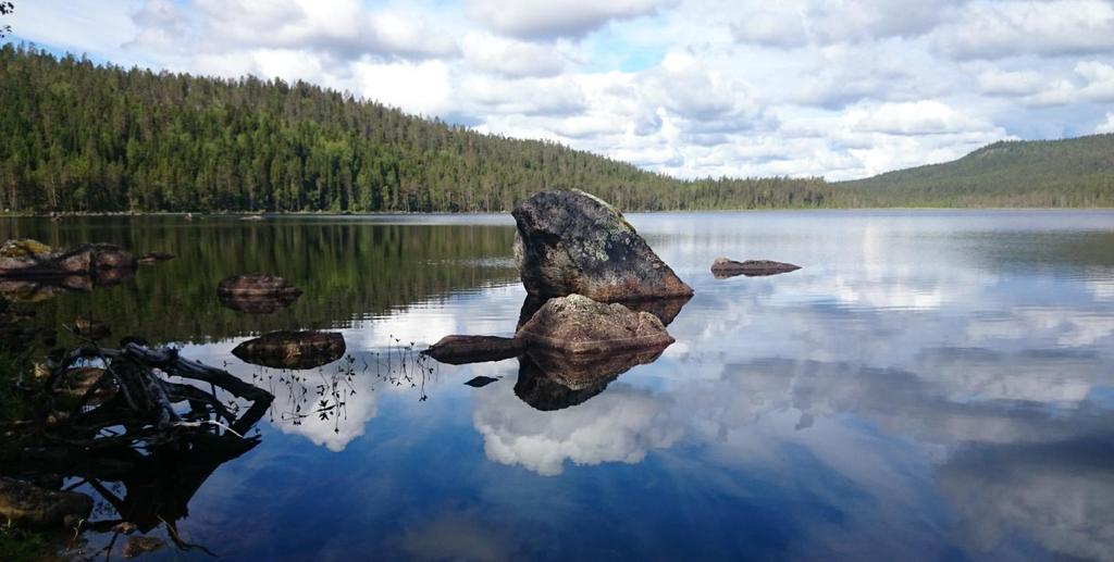 Inledning Under denna sommar pågår ett intensivt arbete med att förbättra tillgängligheten i Björnlandets nationalpark. Nya leder ska byggas och gamla ska rustas upp.