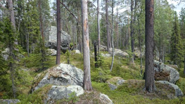 Översiktlig beskrivning av området Björnlandet ligger i södra delen av Västerbottens län, i Åsele lappmark nära gränsen till Ångermanland.