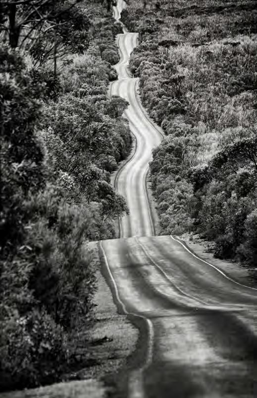 Berith Codner-TorsbyFotoklubb Diplom klass 1 - Svartvitt Enbild Berith Codner-The Road Juryns