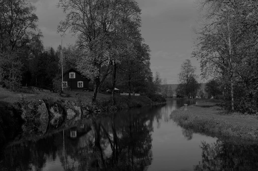 F ÖRENINGEN V ÄRMLANDS F OTOKLUBBAR Bengt