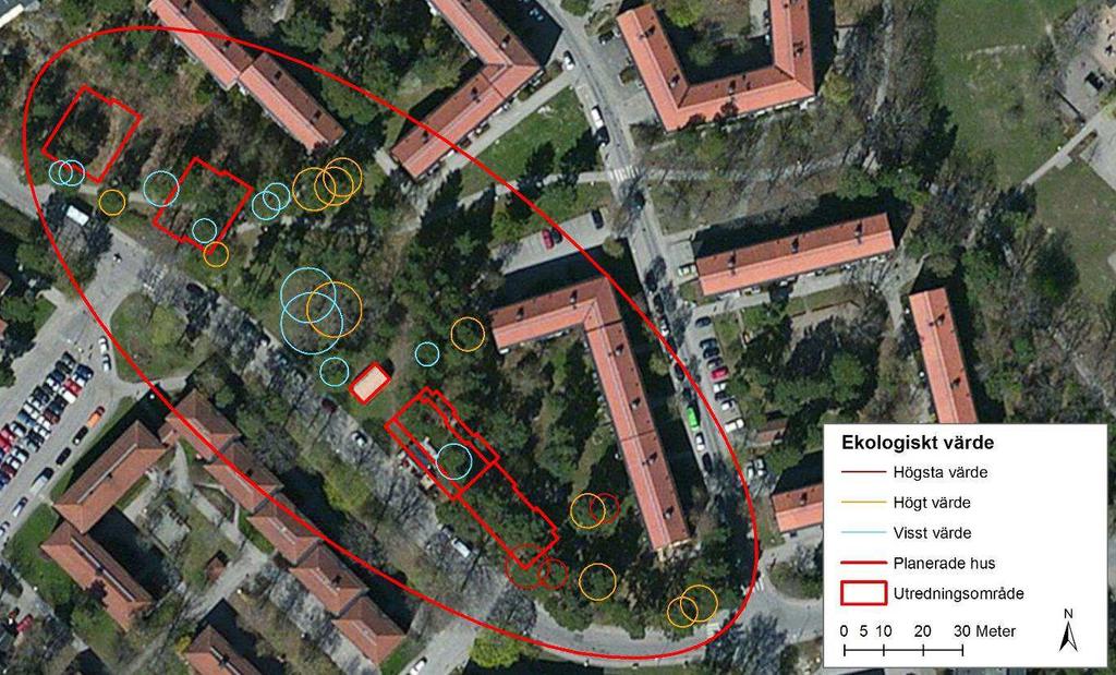 13 (16) 4. Planens påverkan på naturvärden Ett relativt stort antal träd kommer att försvinna i och med att husen placeras i området, se figur 15.