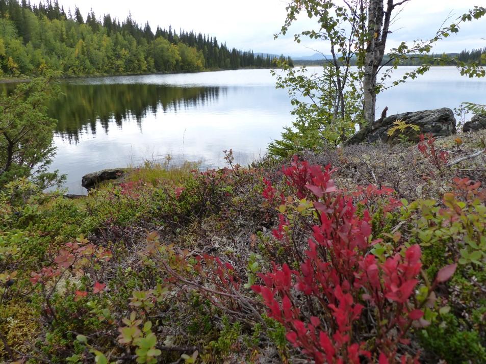 Få en klar rollfördelning mellan kommunen, Turistkompaniet, lokala föreningar som tex.