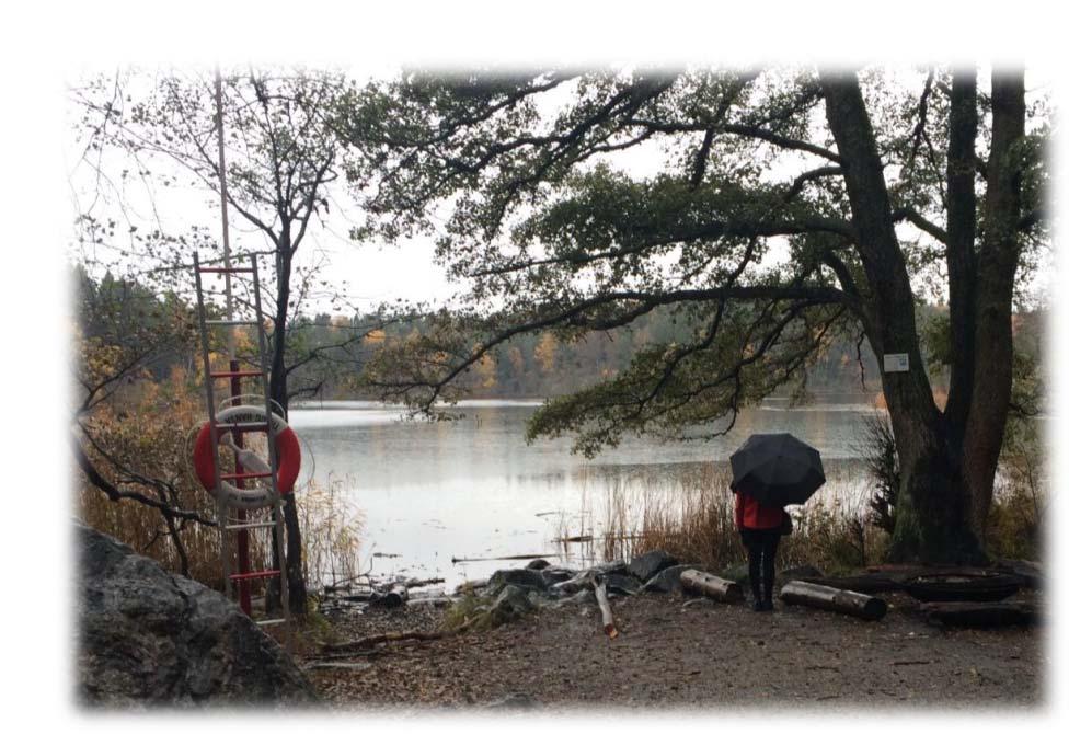 Pågående projekt Bräddåtgärd Judarn: Bräddning till sjö i naturreservat. Dock med dagvattenpåverkan och dålig vattenomsättning. Bräddning vid 1-årsregn drygt 200 m 3.