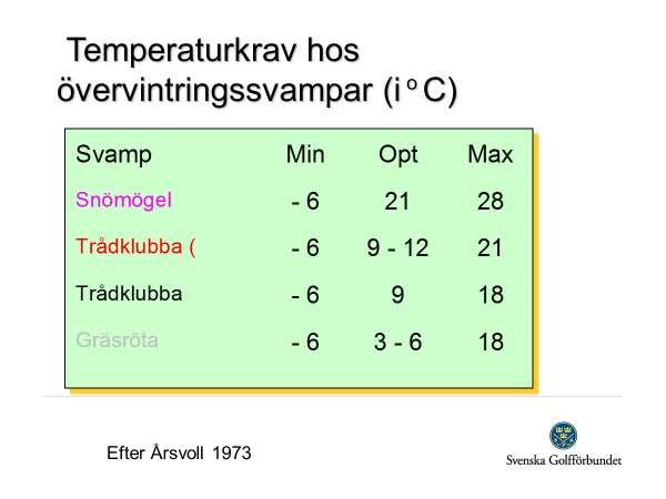 Dessa plantor är nämligen i grund och botten ettåriga.