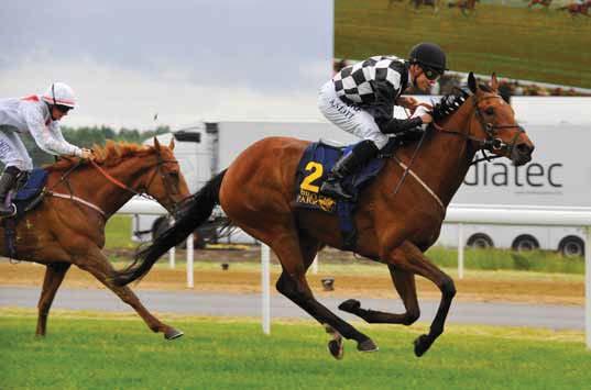 TIDIGARE VINNARE Happy Tammsvik Stockholms Stora Pris (Gr3) Ray vann Bloomers Vase 2016 Bloomers Vase (L) År Häst Ägare Tränare Ryttare 2016 Coprah (GB) IKC Racing C Erichsen N De Souza 2015