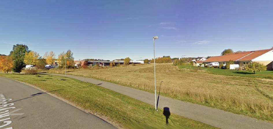 Planeringsförutsättningar Mark och vegetation Västra delen av planområdet består av en parkeringsplats med träd planterade i norr mellan parkeringen och industribyggnaden.