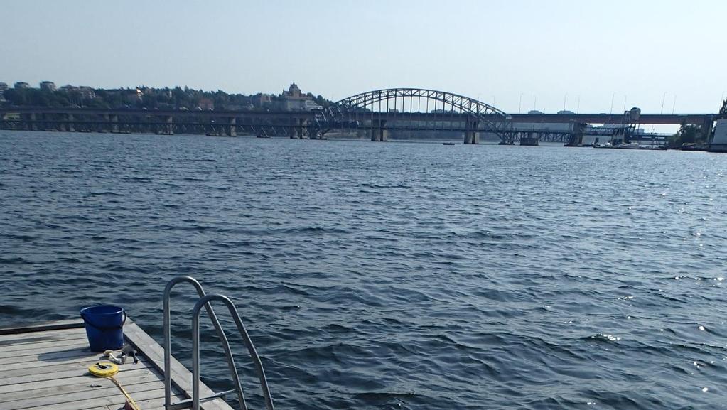 Saneringsmetoder sediment Grävmuddring Avvattning, borttransport. Hög TOC-halt en begränsning.