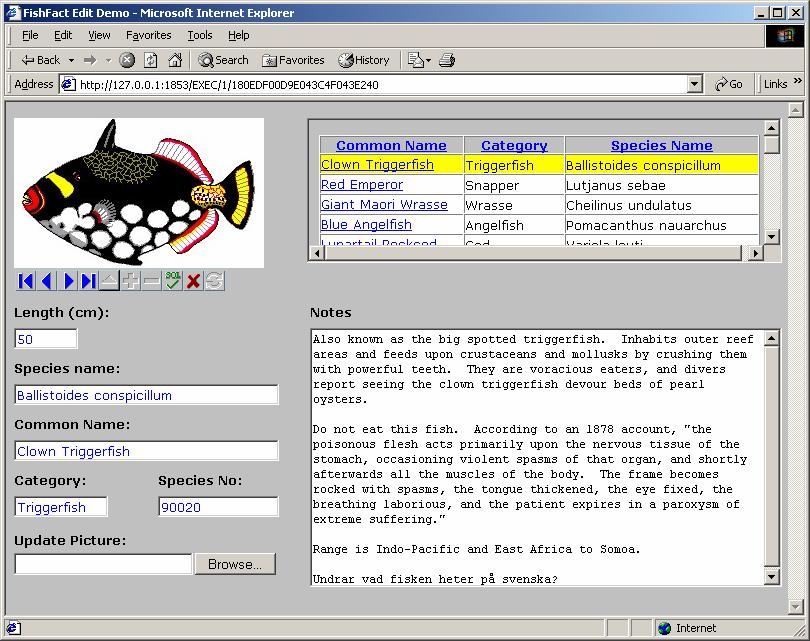 dynamiskt innehåll. IntraWeb-applikationer kan presenteras i vanliga webbläsare som Internet Explorer, Netscape, Mozilla, Opera och handhållna enheter (PDA:er). En.NETversion är också på gång.