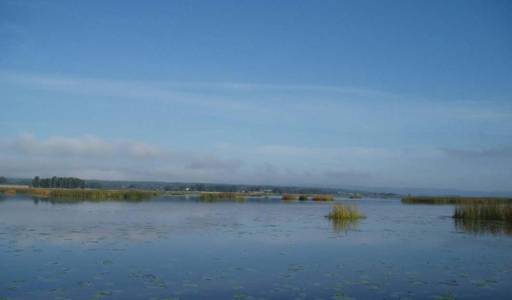 Vattenväxter och fiskar i sjön Tysslingen Resultat