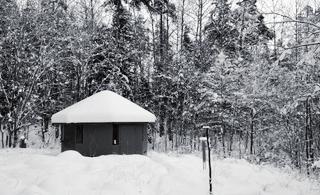 Som alla vet är det vanskligt att förutsäga avelsarbetet i förväg, men oavsett om man odlar drottningar för eget behov eller i större omfattning, är det helt nödvändigt att göra klart för sig de