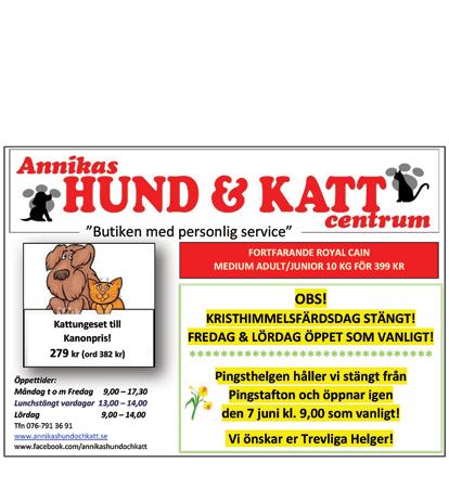 Borgsjöbyns Vägsamfällighetsförening ÅRSMÖTE tisdag 30 maj kl. 19.00 på Tingshuset, Borgsjö Hembygdsgård.