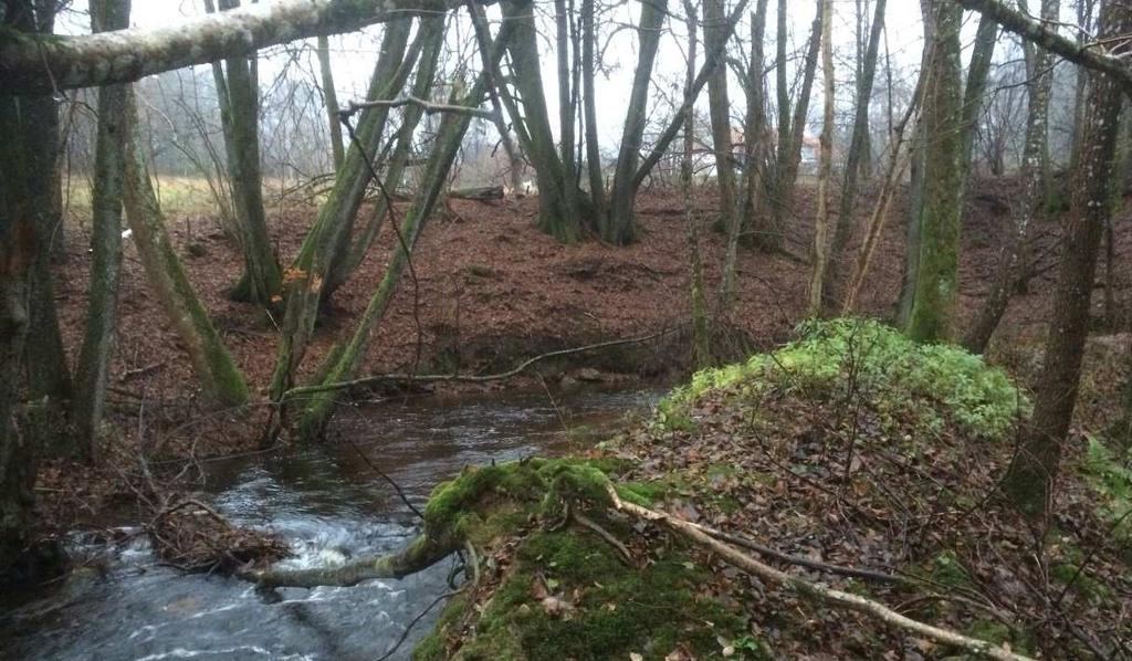 Generellt finns inga tydliga spår av pågående erosion, med undantag av ett mindre parti i mitten av sträckan förbi planområdet.