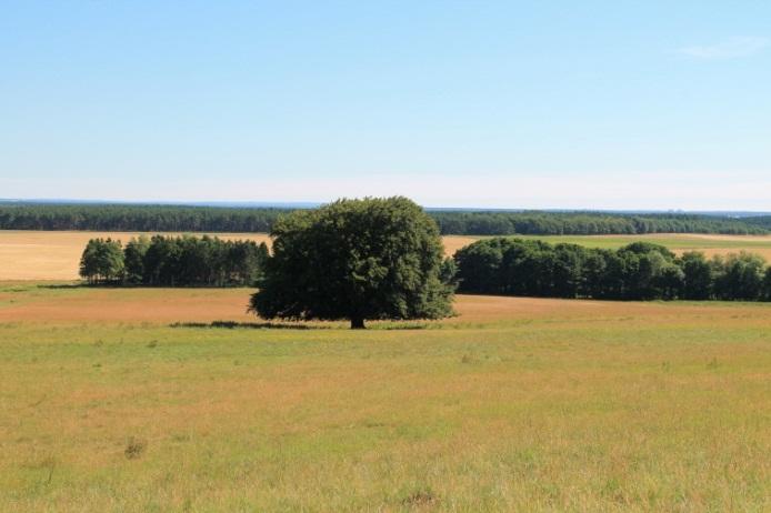 Ett rikt odlingslandskap "Odlingslandskapets och jordbruksmarkens värde för biologisk produktion och livsmedelsproduktion ska skyddas samtidigt som den biologiska mångfalden och kulturmiljövärdena