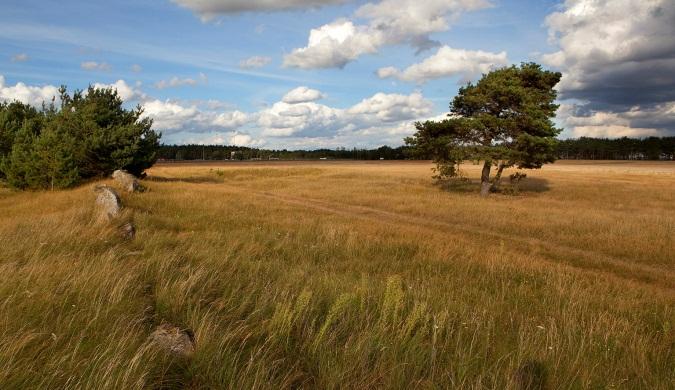 343 O78. Horna sandar Naturtyp Betesmark Värdetyp Klass 1 Areal Nuvarande status Markägare NZBK 52 ha Naturreservat Kommun Beskrivning: Betesmark med fin sandflora.