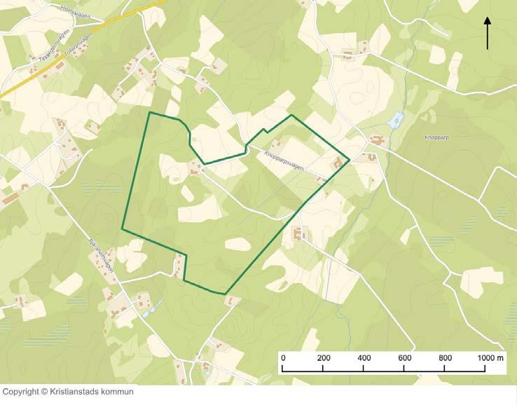 254 - Skogspartierna ska uppvisa en olikåldrig karaktär som möjliggör en naturlig föryngring. - Området ska innehålla gott om död ved i form av högstubbar, lågor och grenar.