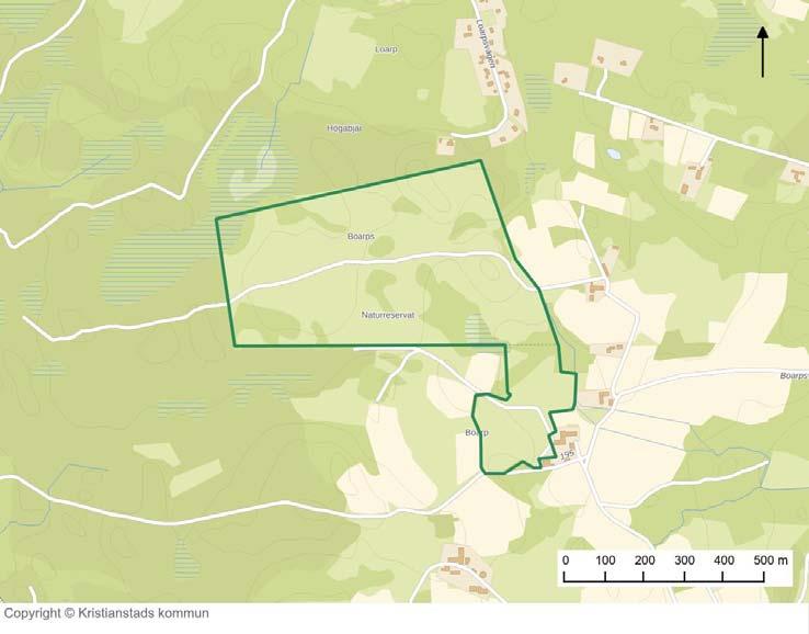 258 - Området ska präglas av hävdad ljunghed. - Vegetationen ska domineras av hävdgynnade, lågvuxna arter, typiska för betesmark. - Vidare info se skötselplan för naturreservatet Boarps hed.