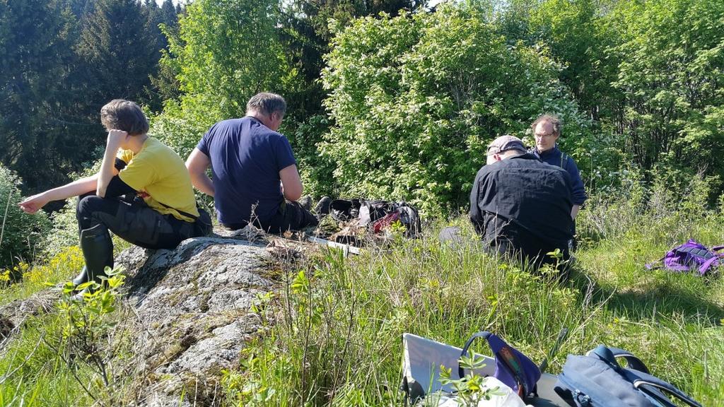 30 Roger Mugerwa Pettersson m fl gjordes under exkursionen 50 nya landskapsfynd av skalbaggar för Medelpad, varav 43 avser kortvingar.