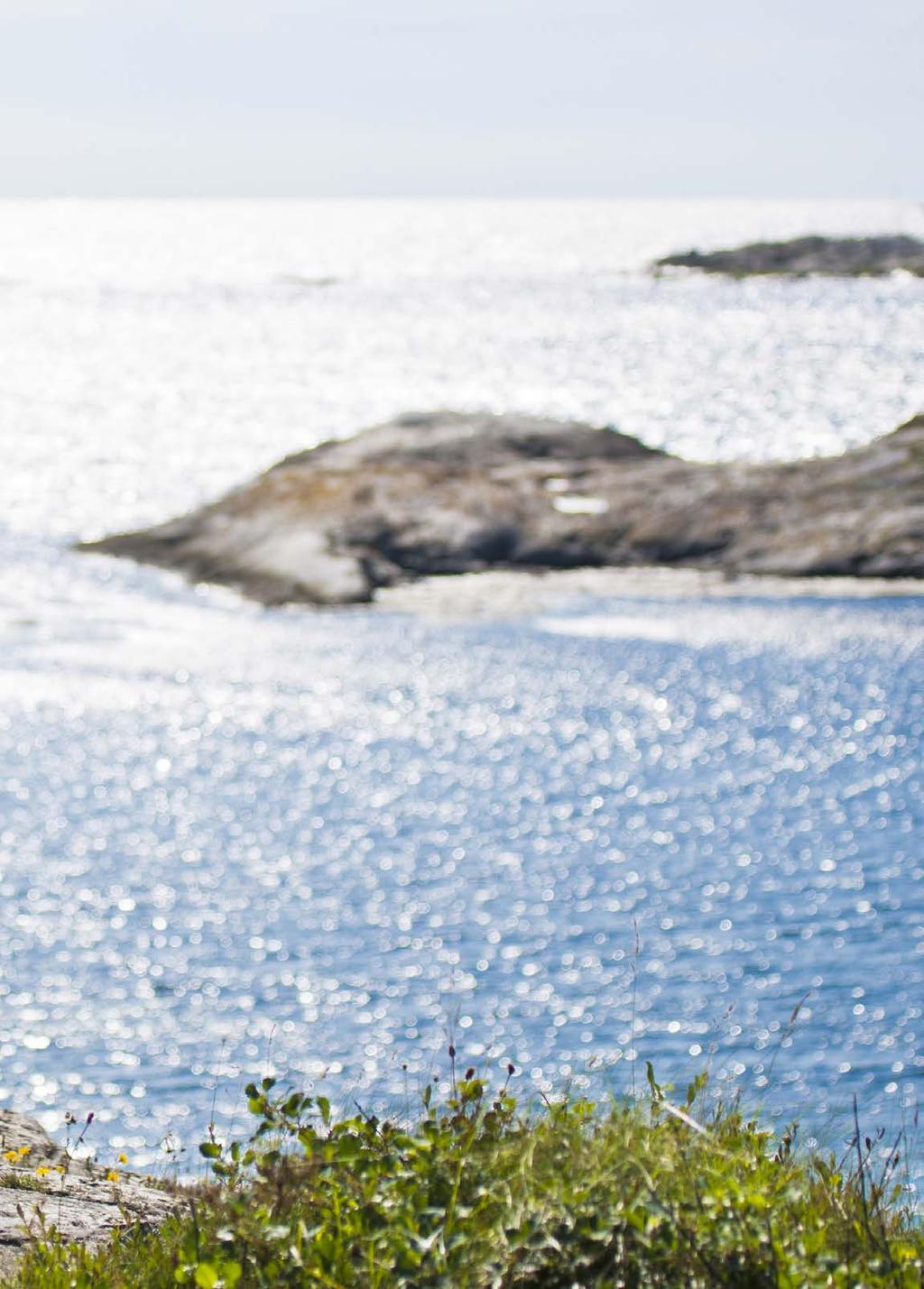 Precis innan skärgårdspärlan Marstrand ligger BRF Kaponjären. Husen är omgärdade av grönska och noggrant infogade mellan klipphällar och sprickdalar.